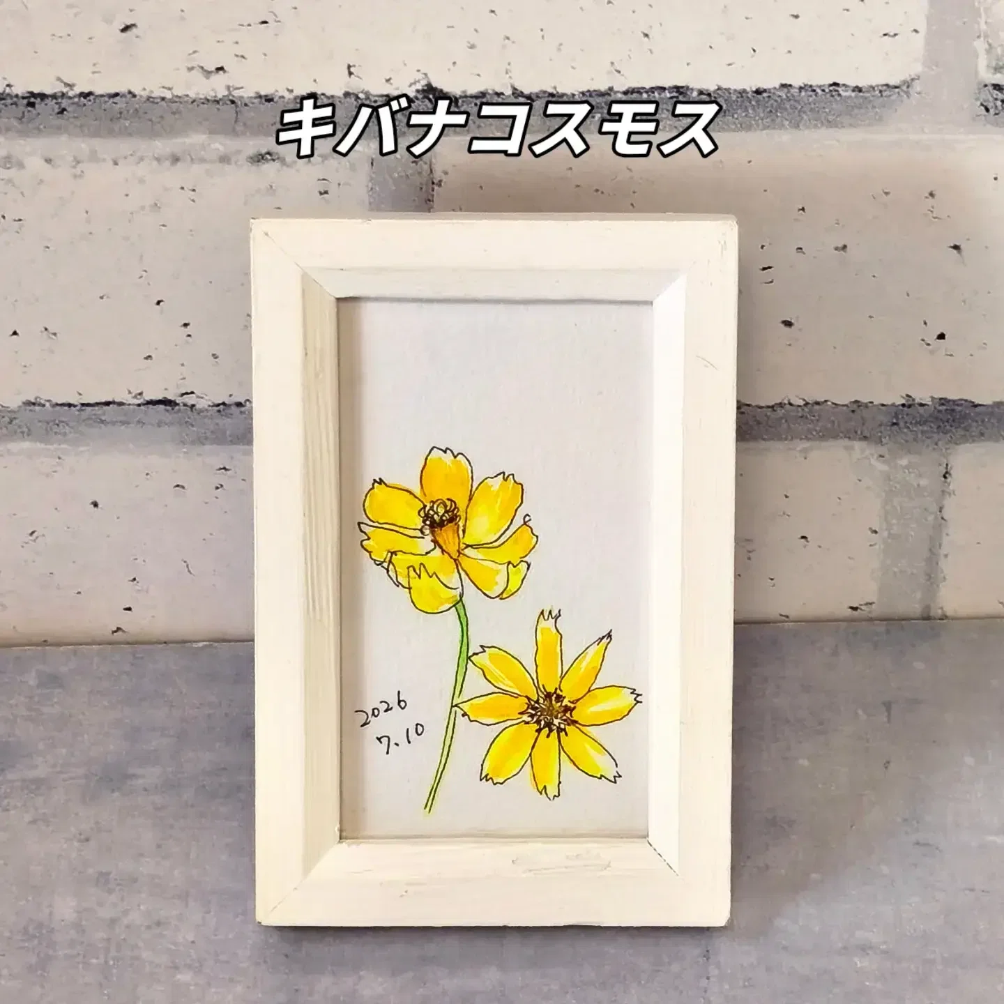 描きながら歩く7月10日アサガオ タチアオイ タチアオイ |透明水彩