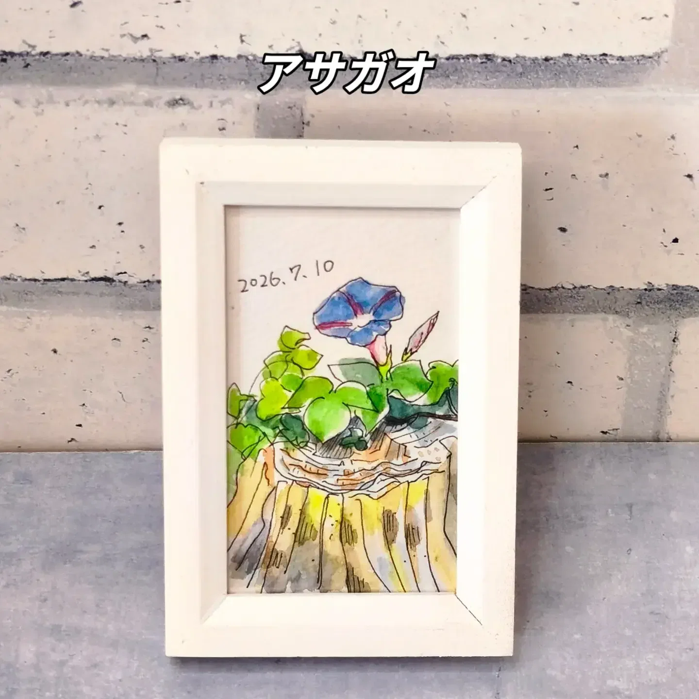 描きながら歩く7月10日アサガオ タチアオイ タチアオイ |透明水彩