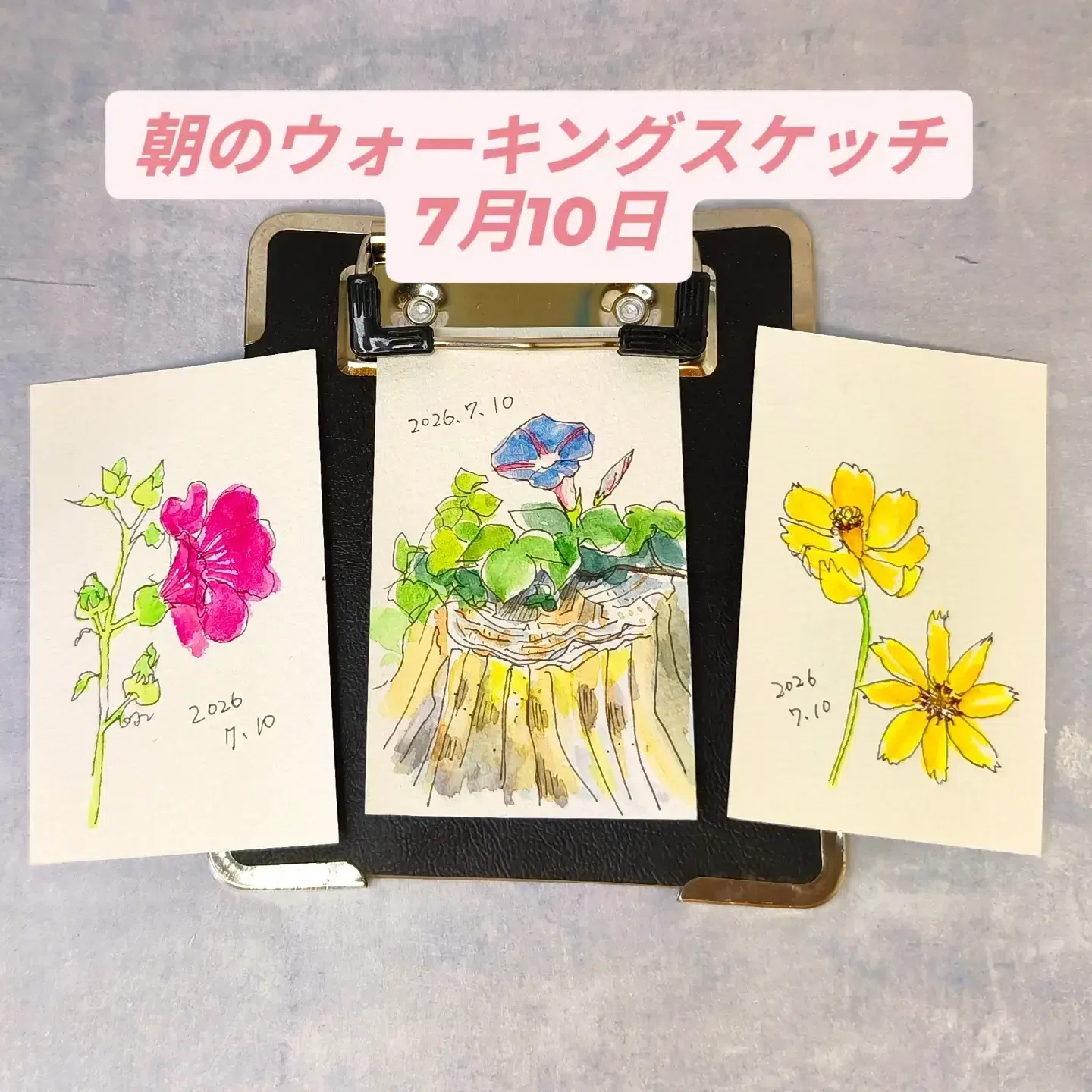 描きながら歩く7月10日|透明水彩スケッチ日記【23】｜kamo