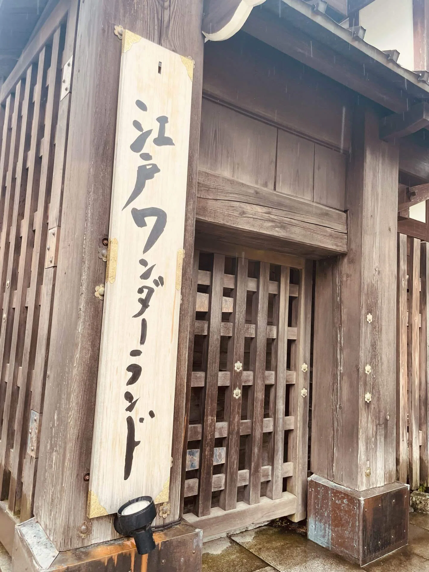 旅行スポットin日光｜江戸時代にタイムスリップ🥷｜ごろ絢｜週末役者