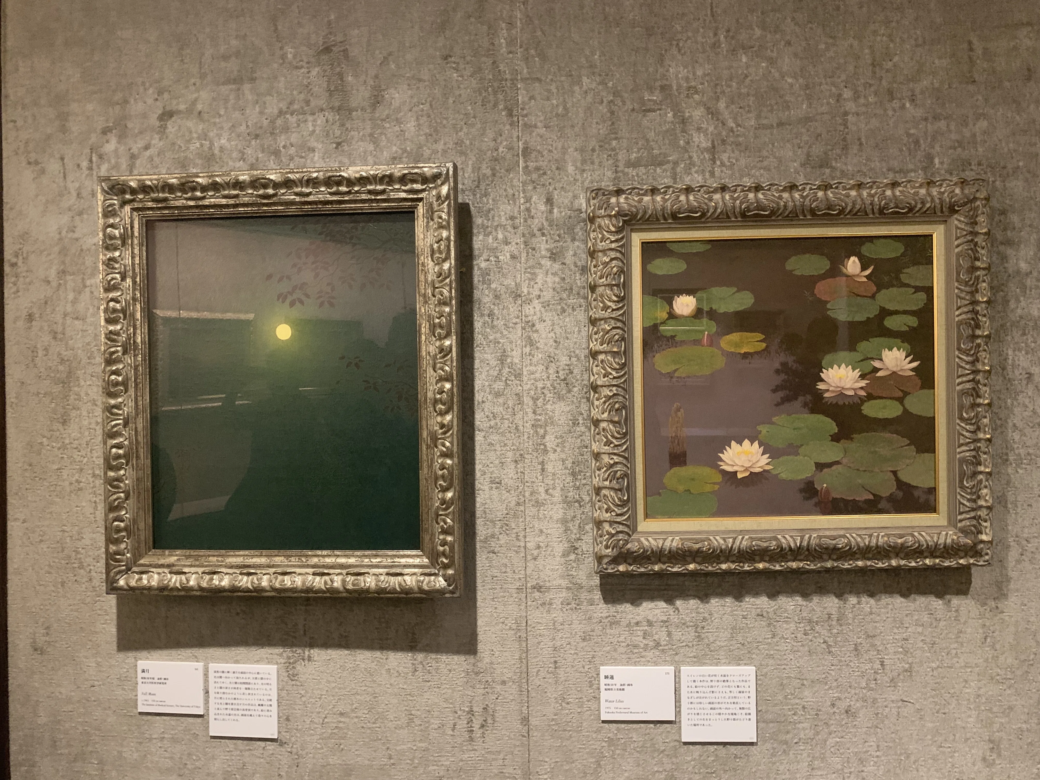 極上サウナー・高島野十郎の怨念を見た【松濤美術館】【没後50年展