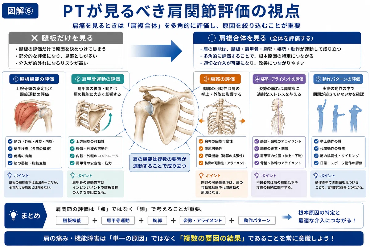 [What Physical Therapists Should Know] The Role and Function of the ...