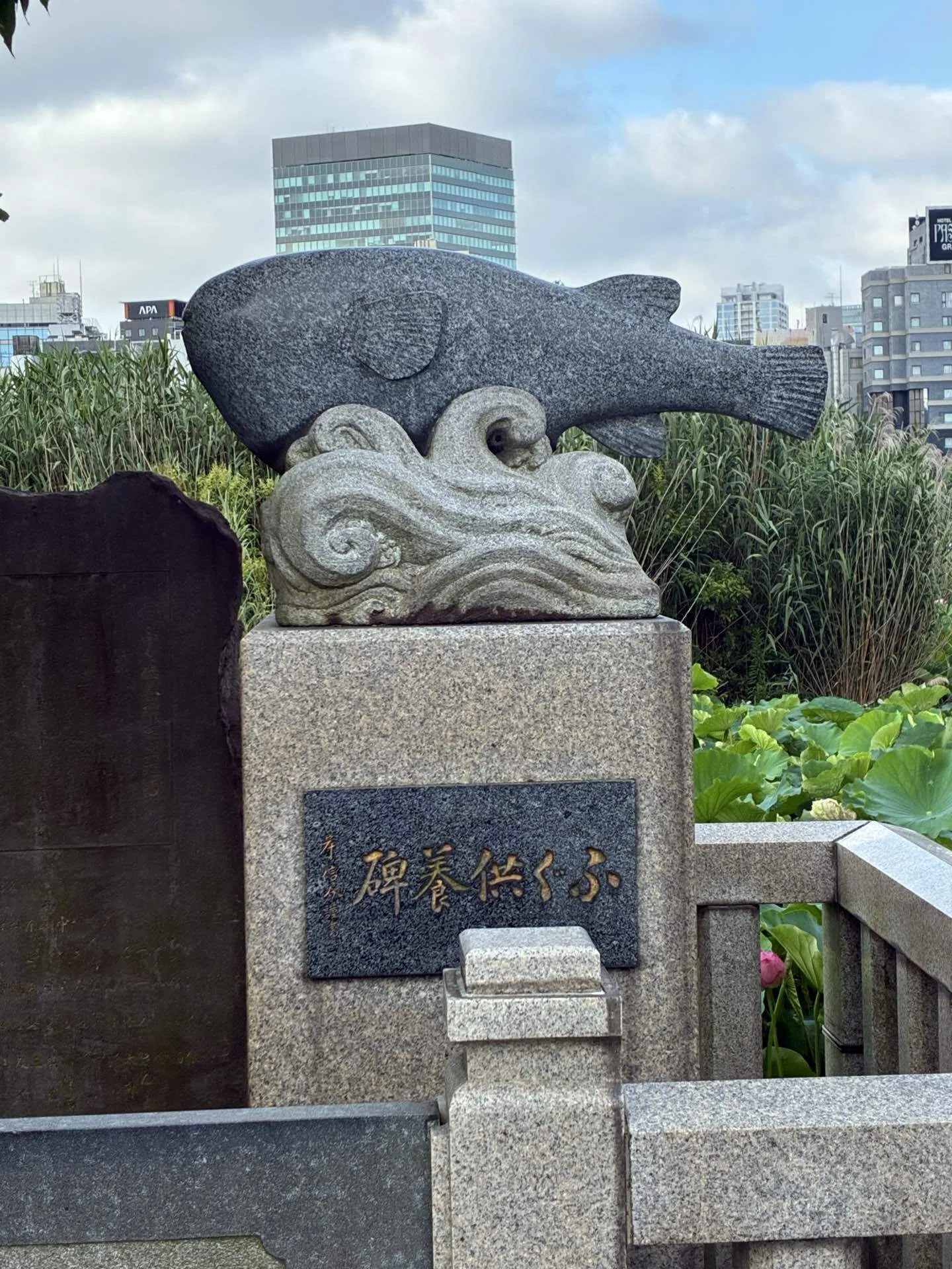 朝しか会えない花を探して。― 夏の上野、不忍池を歩く ―｜六分儀 宵
