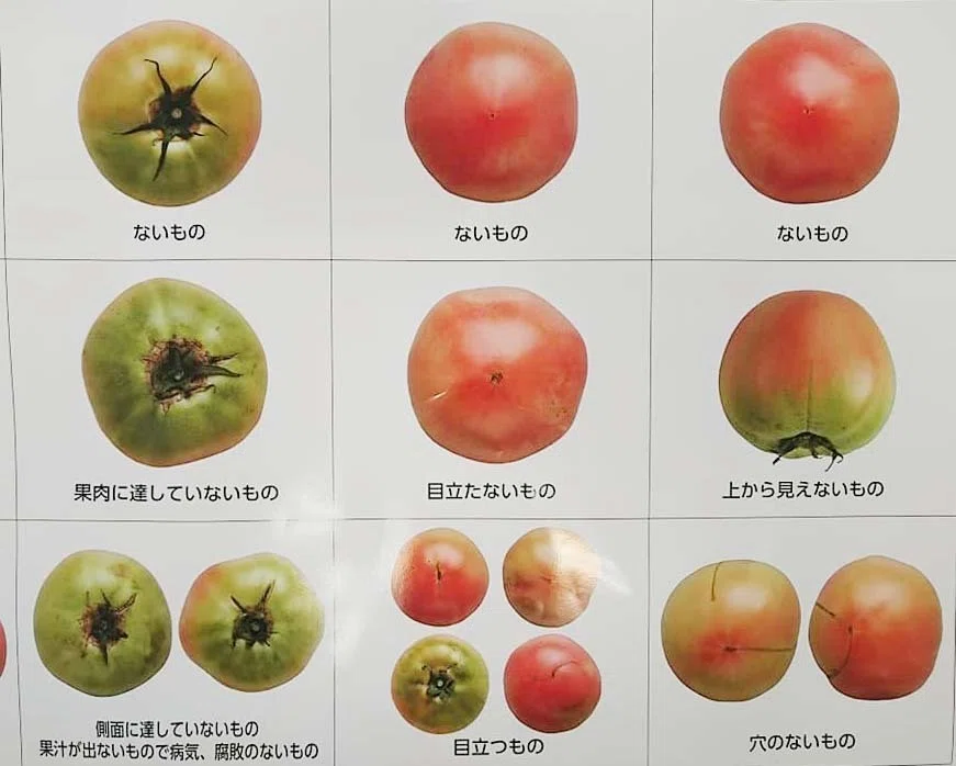 トマトの出荷規格表を見てトマト農家のすごさを思い知った件｜hontabe