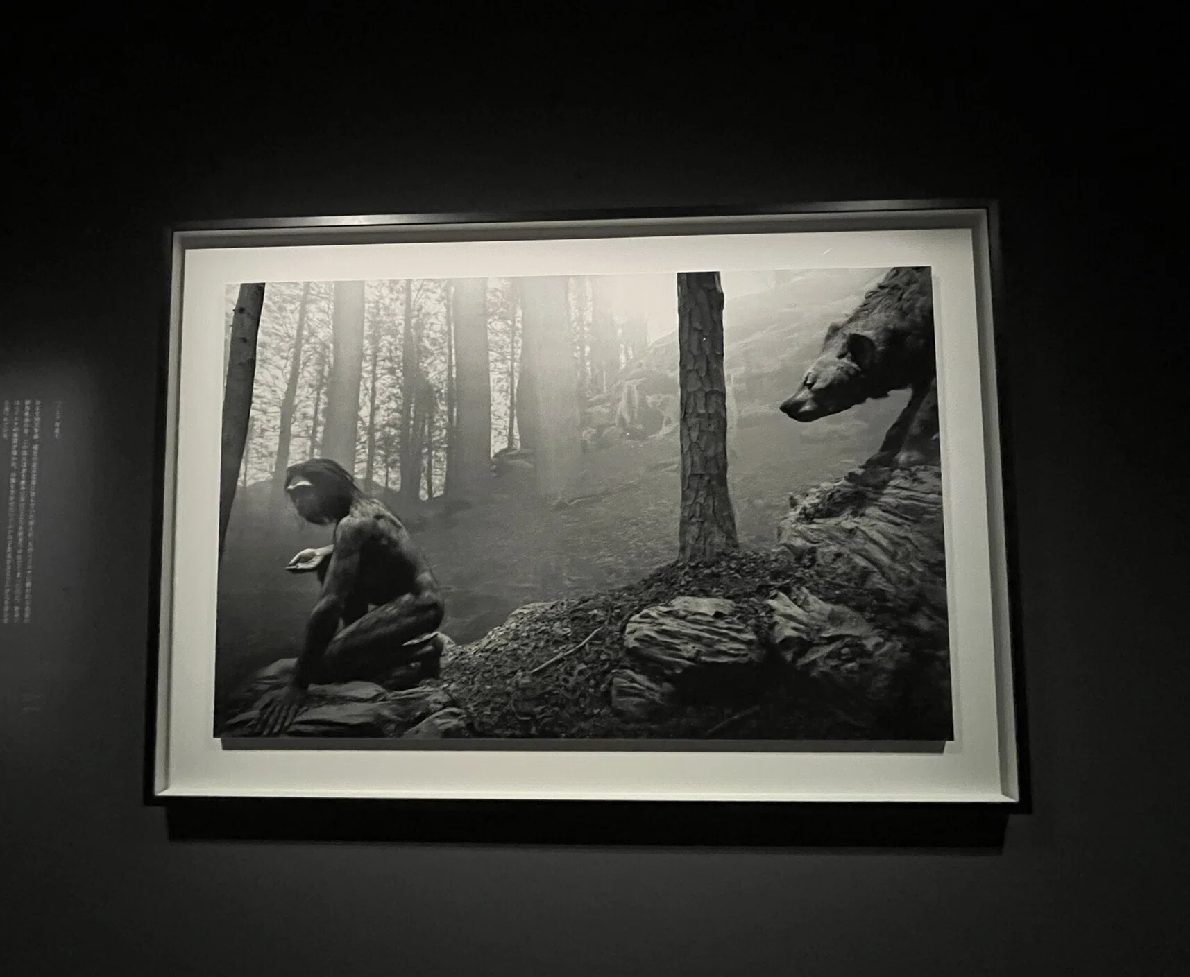 展覧会 #86 杉本博司 絶滅写真@東京国立近代美術館｜kichikichi｜美術