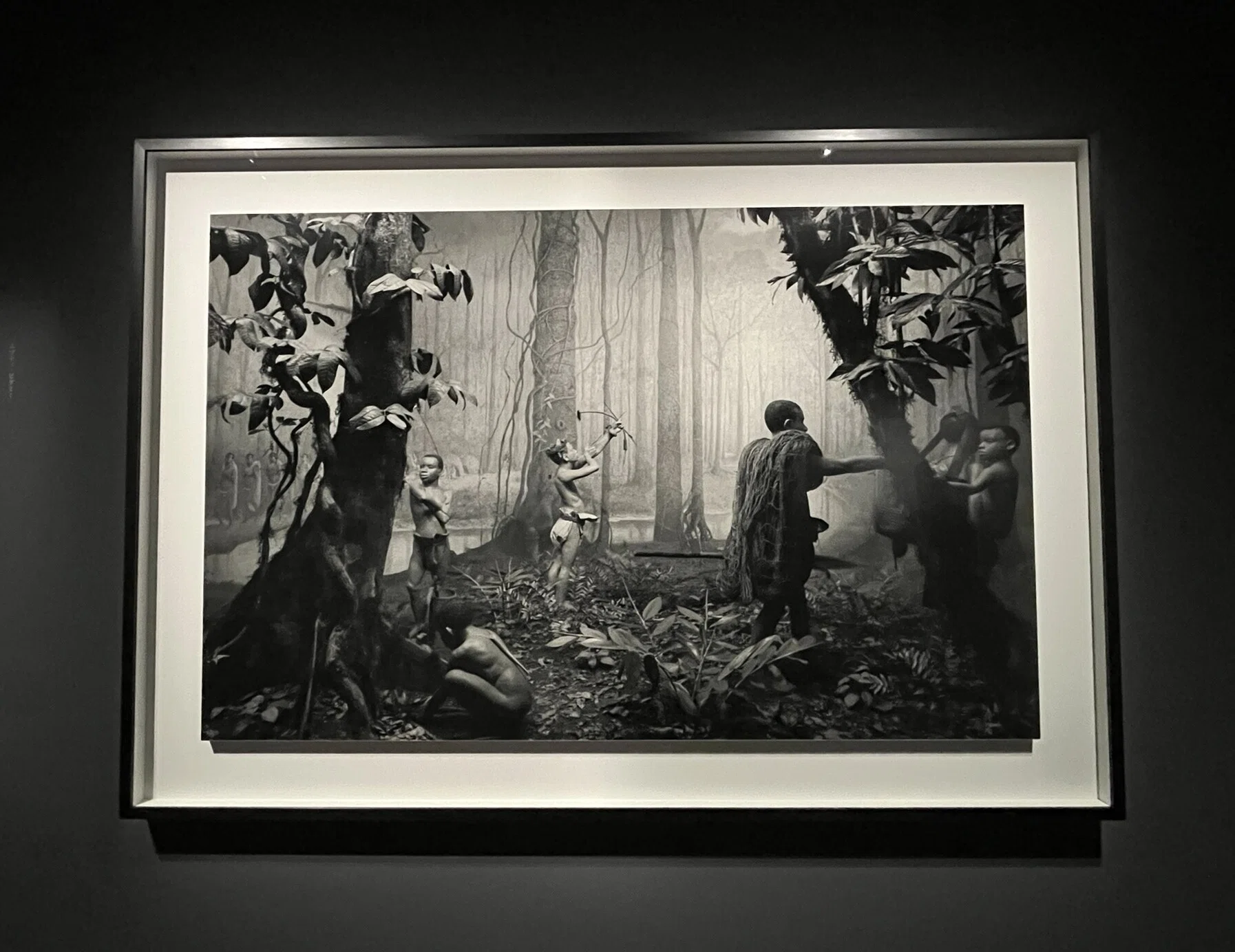 展覧会 #86 杉本博司 絶滅写真@東京国立近代美術館｜kichikichi｜美術