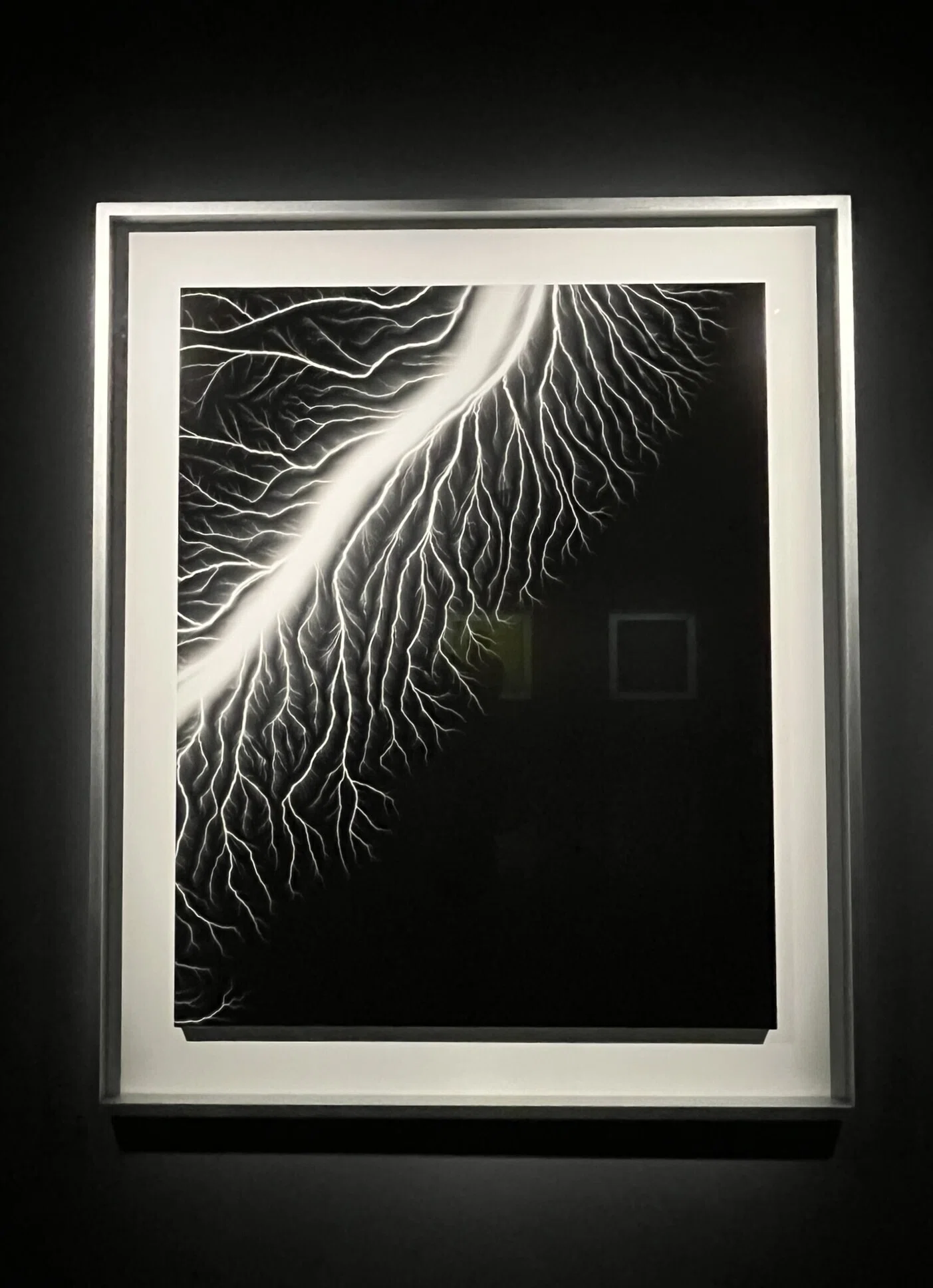 展覧会 #86 杉本博司 絶滅写真@東京国立近代美術館｜kichikichi｜美術
