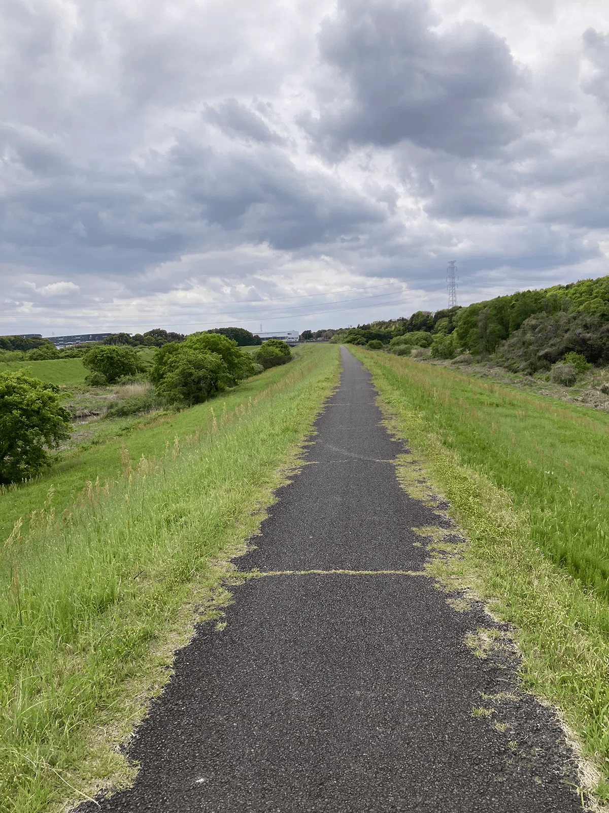 利根運河の土手道