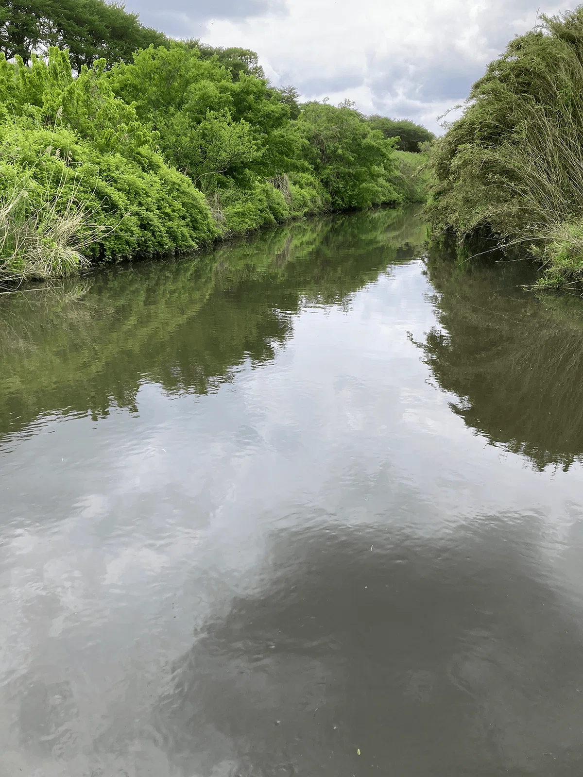 運河の水面