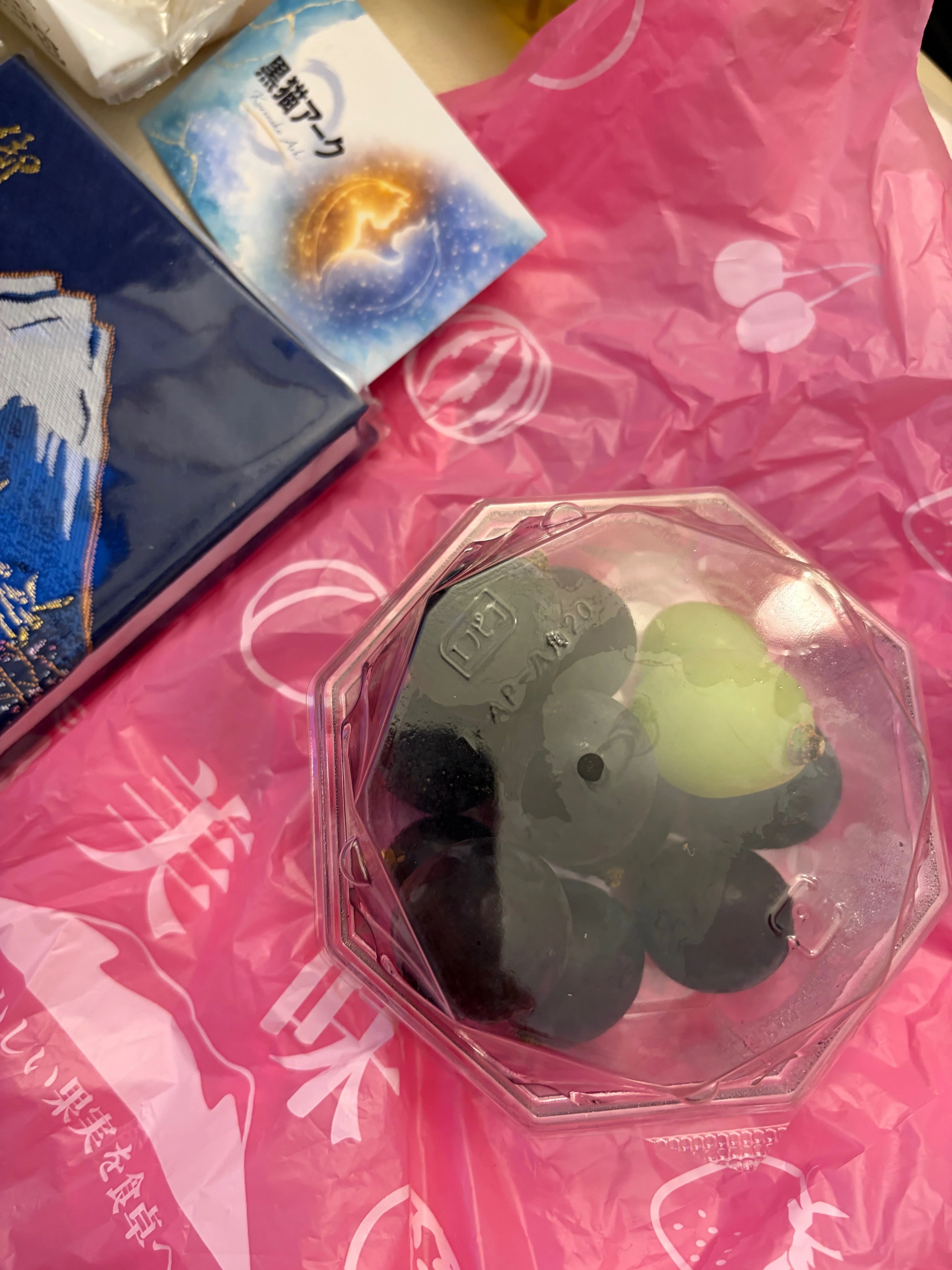 富士山の頂上で、すべての子供たちののびのびした未来を祈った特別な1