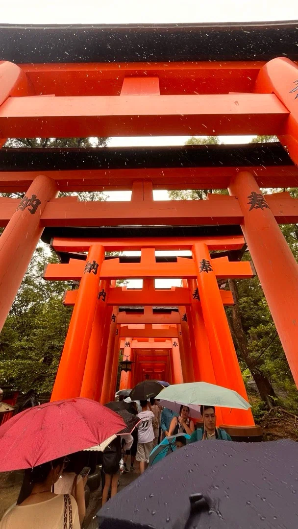 水と山の境界線—伏見稲荷と金閣寺、二つの聖域が映す日本の信仰構造