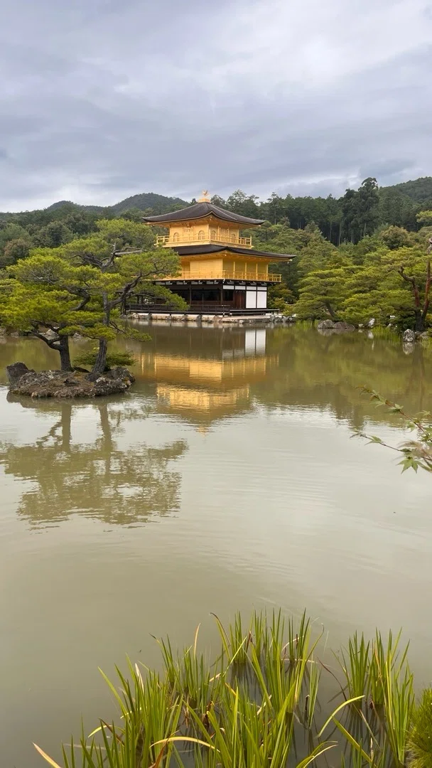 水と山の境界線—伏見稲荷と金閣寺、二つの聖域が映す日本の信仰構造