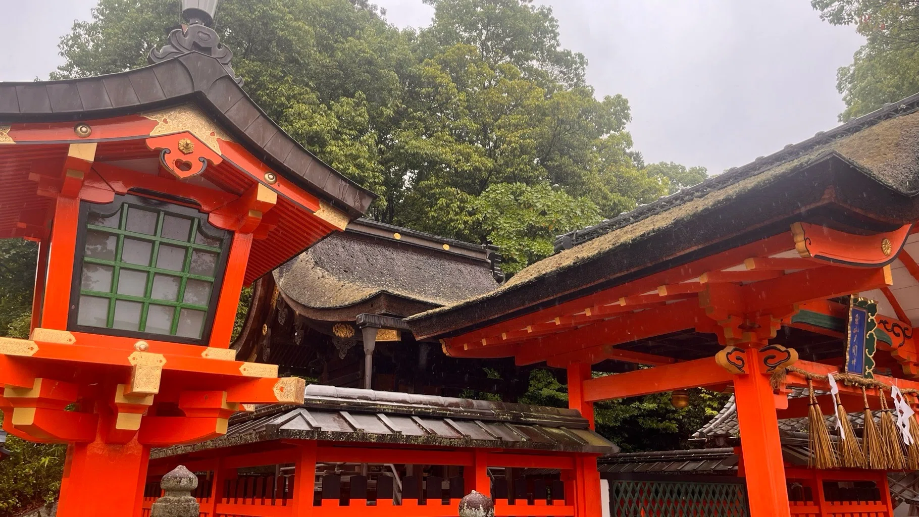 水と山の境界線—伏見稲荷と金閣寺、二つの聖域が映す日本の信仰構造