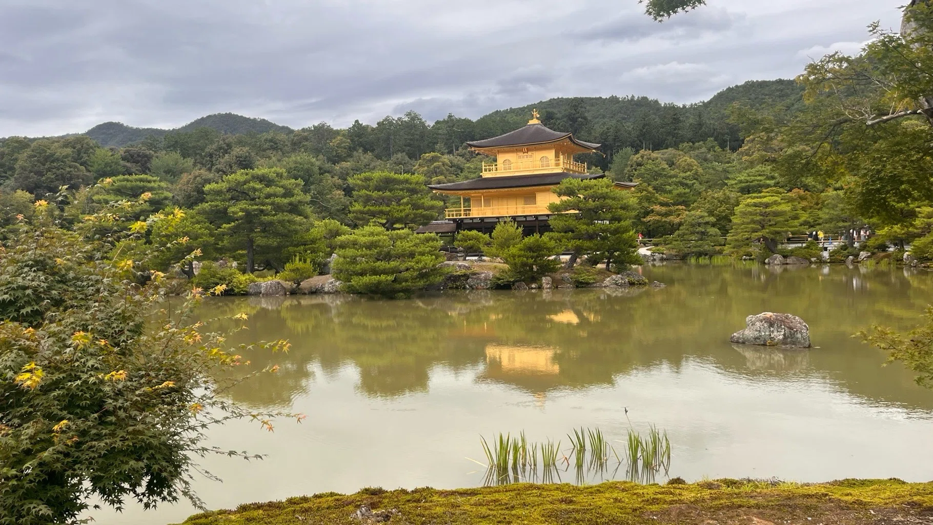 水と山の境界線—伏見稲荷と金閣寺、二つの聖域が映す日本の信仰構造