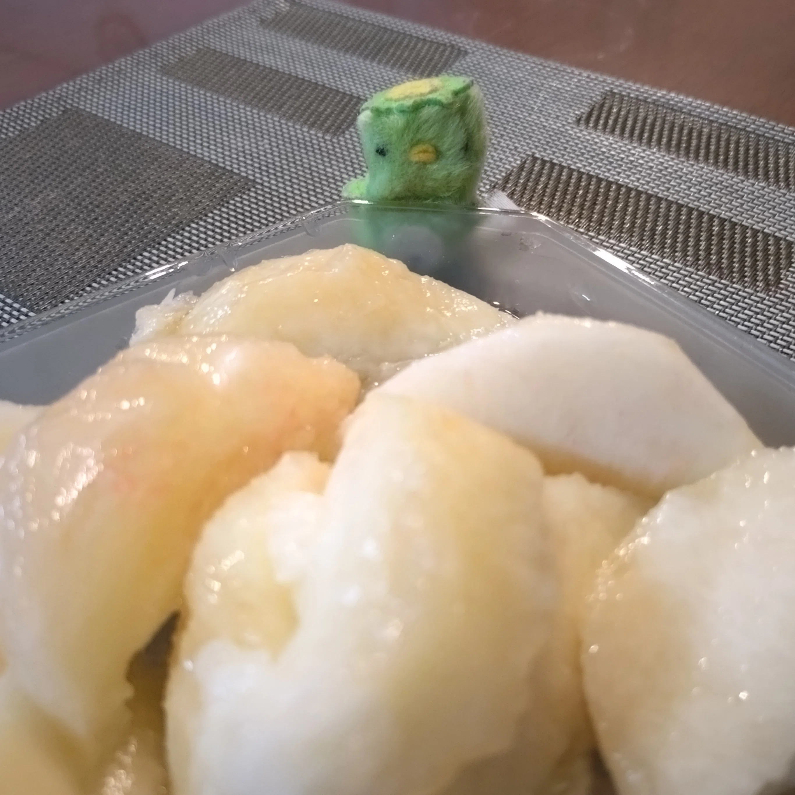 三味線弾きの断片的日常 2026/7/1-10｜静