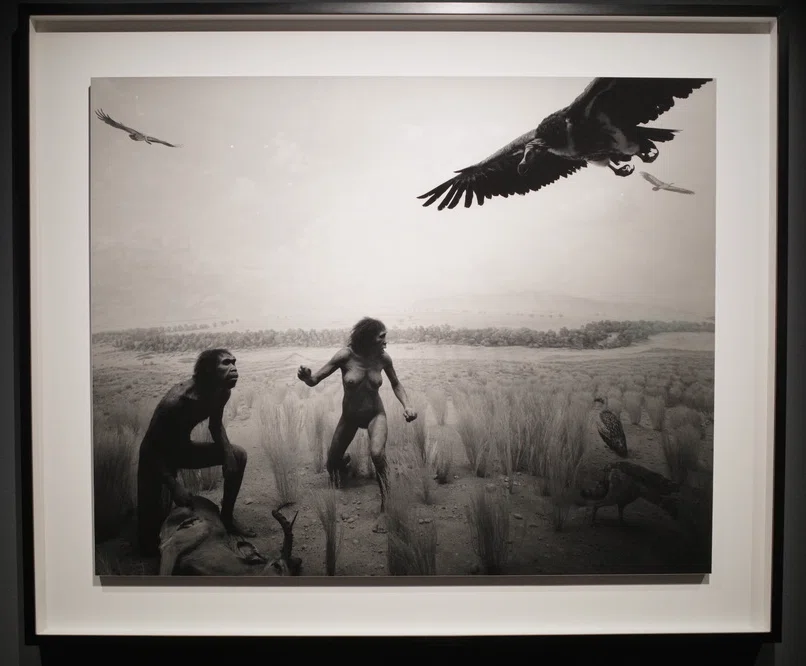 杉本博司、21年ぶりの写真個展「絶滅写真」を起点に読み解く全表現