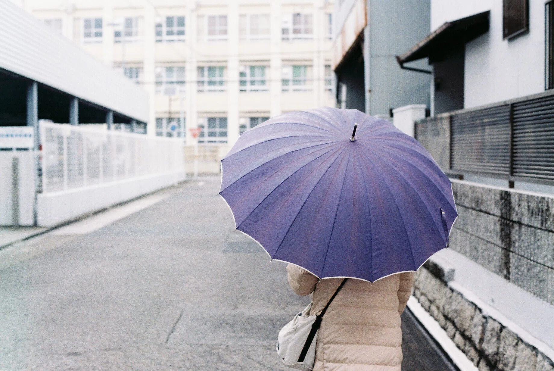 50mm Olympus F1.4 OM-1 と 動作確認済み 作例あり OLYMPUS 街中