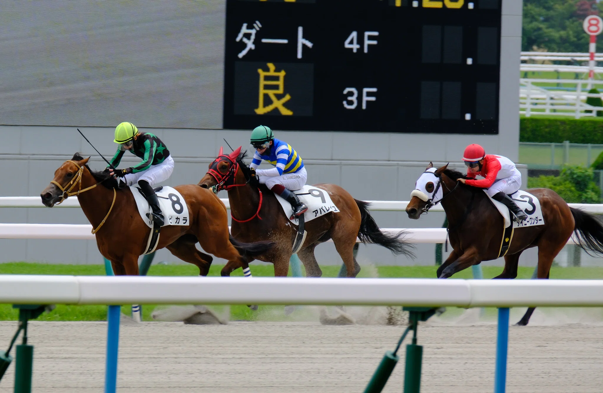 X-T30Ⅲ with 京都競馬場｜Akaishi