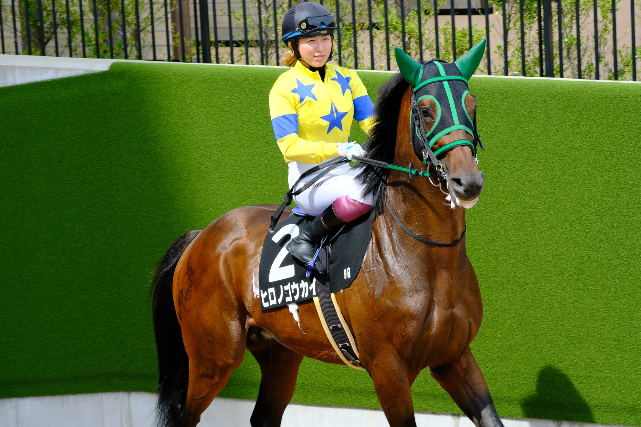 競馬の極み X-T30Ⅲ with 京都競馬場｜Akaishi