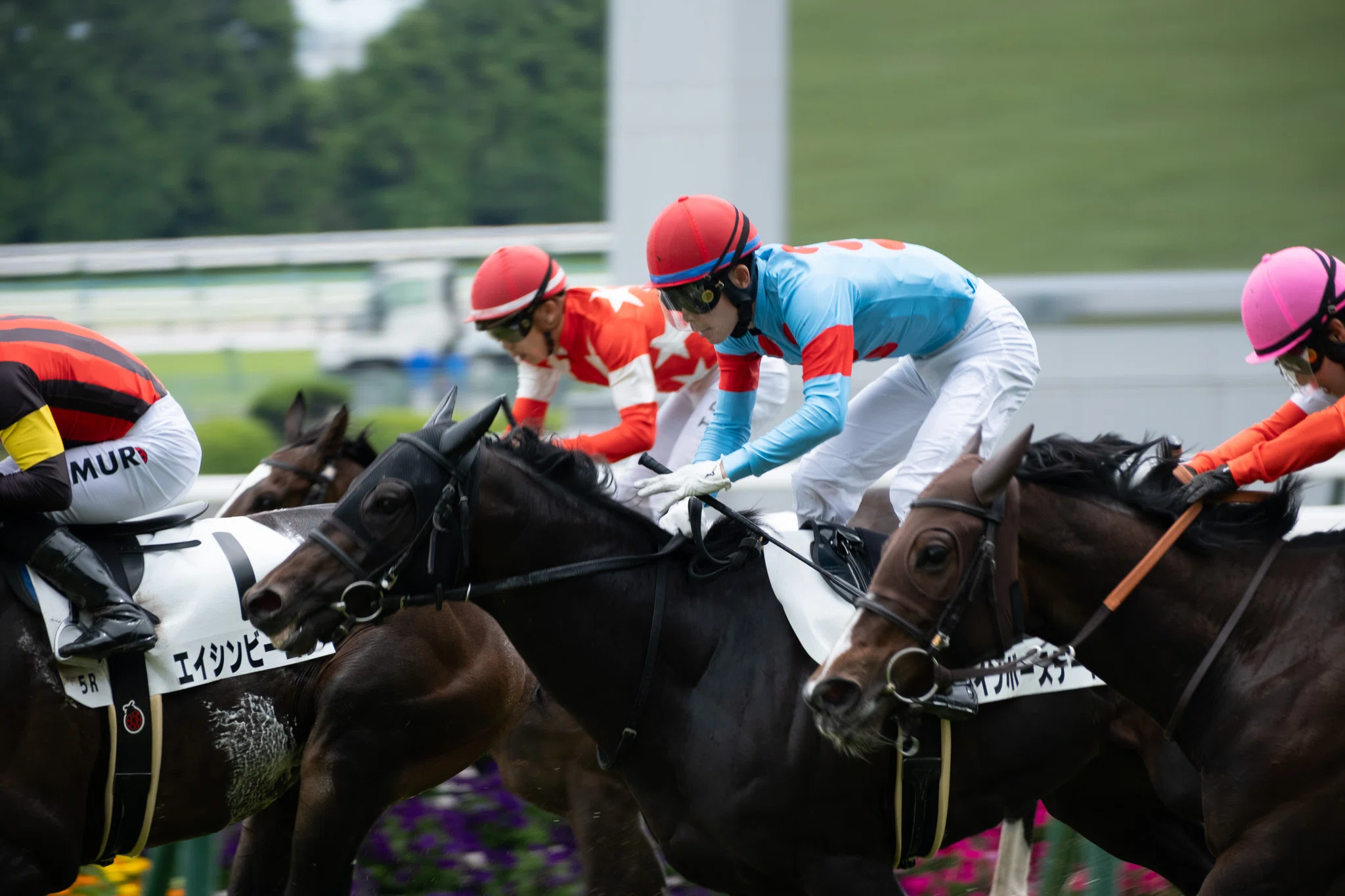 競馬の極み X-T30Ⅲ with 京都競馬場｜Akaishi