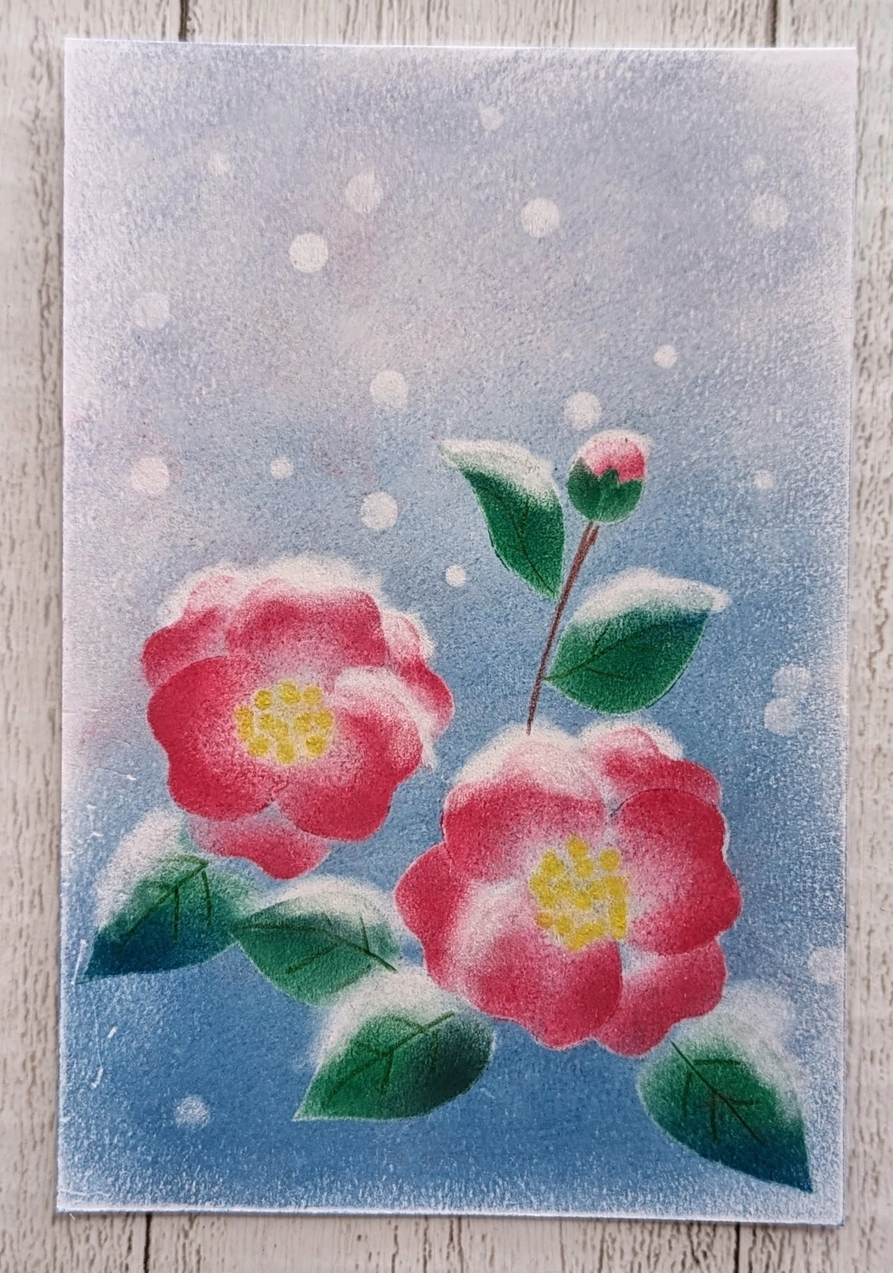 パステルアートでどんな絵が描ける？｜成澤まり⭐初心者向けパステル