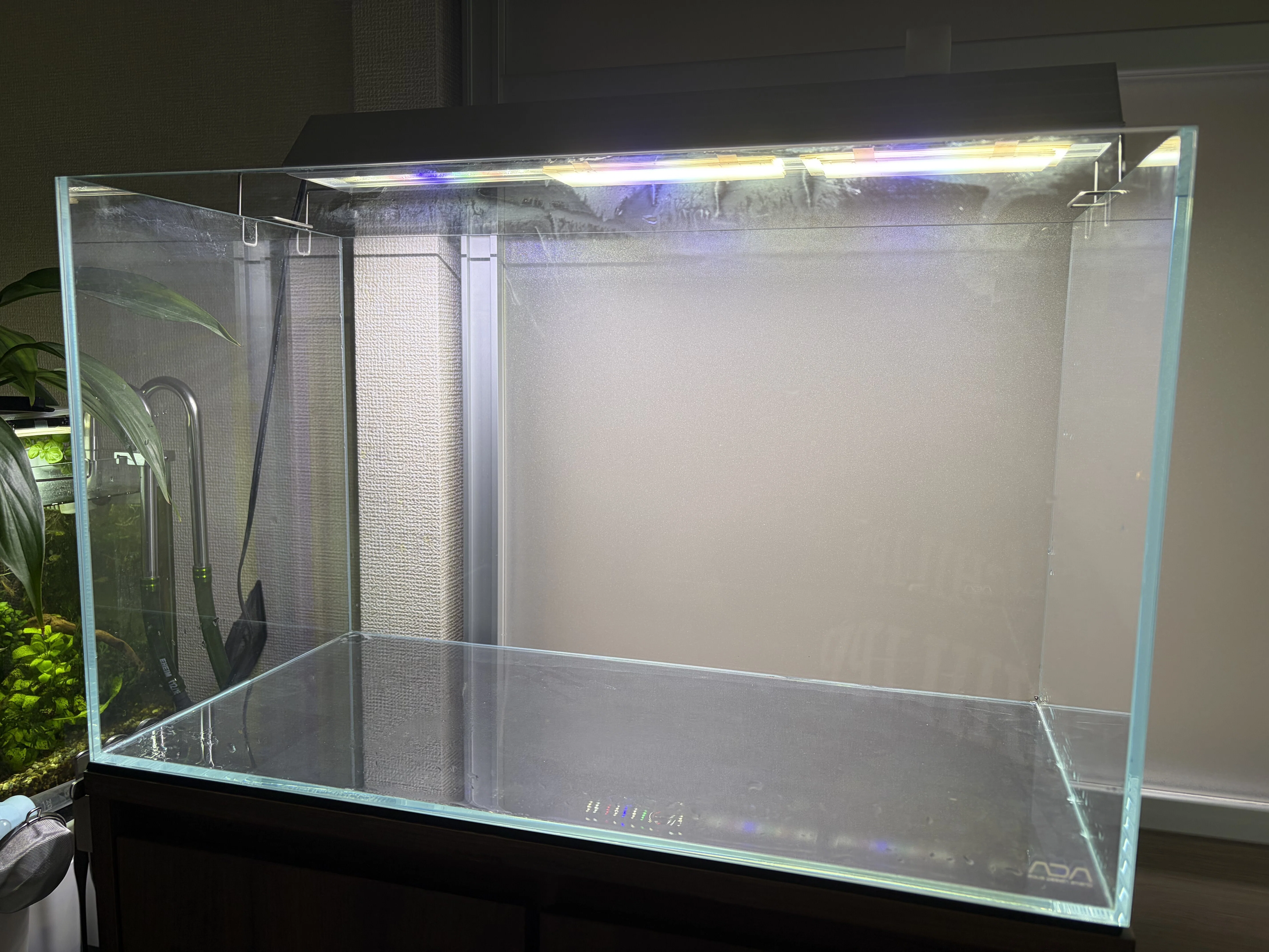 アクアリウム】60cm水槽のリセット｜たけのこ@サイドFIRE準備中