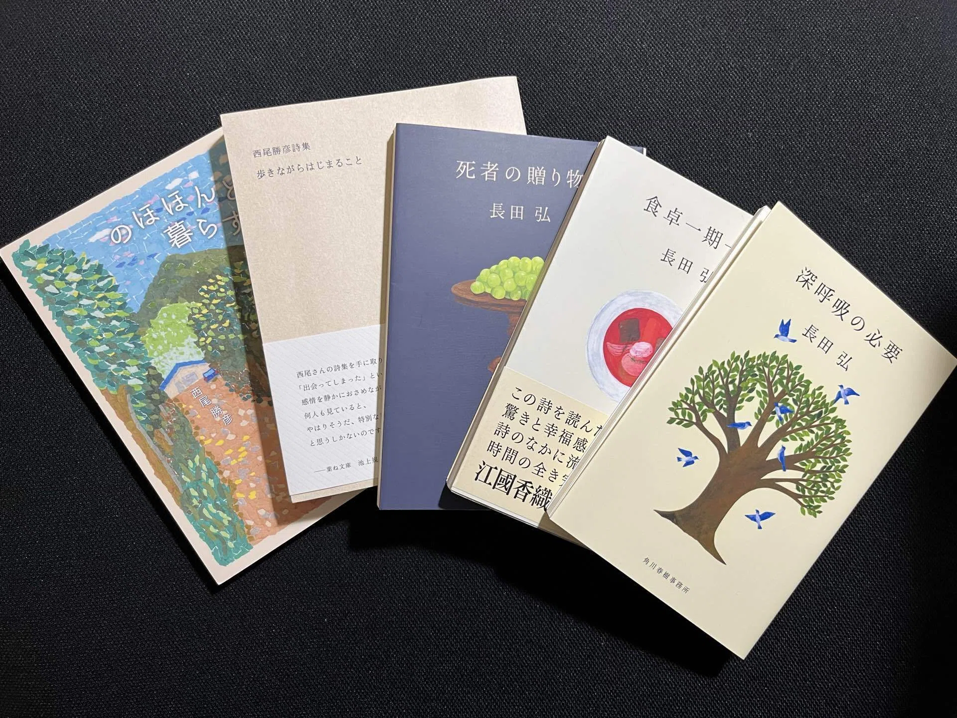 なんとなく、詩がたのしめるようになってきた｜たぬ文庫