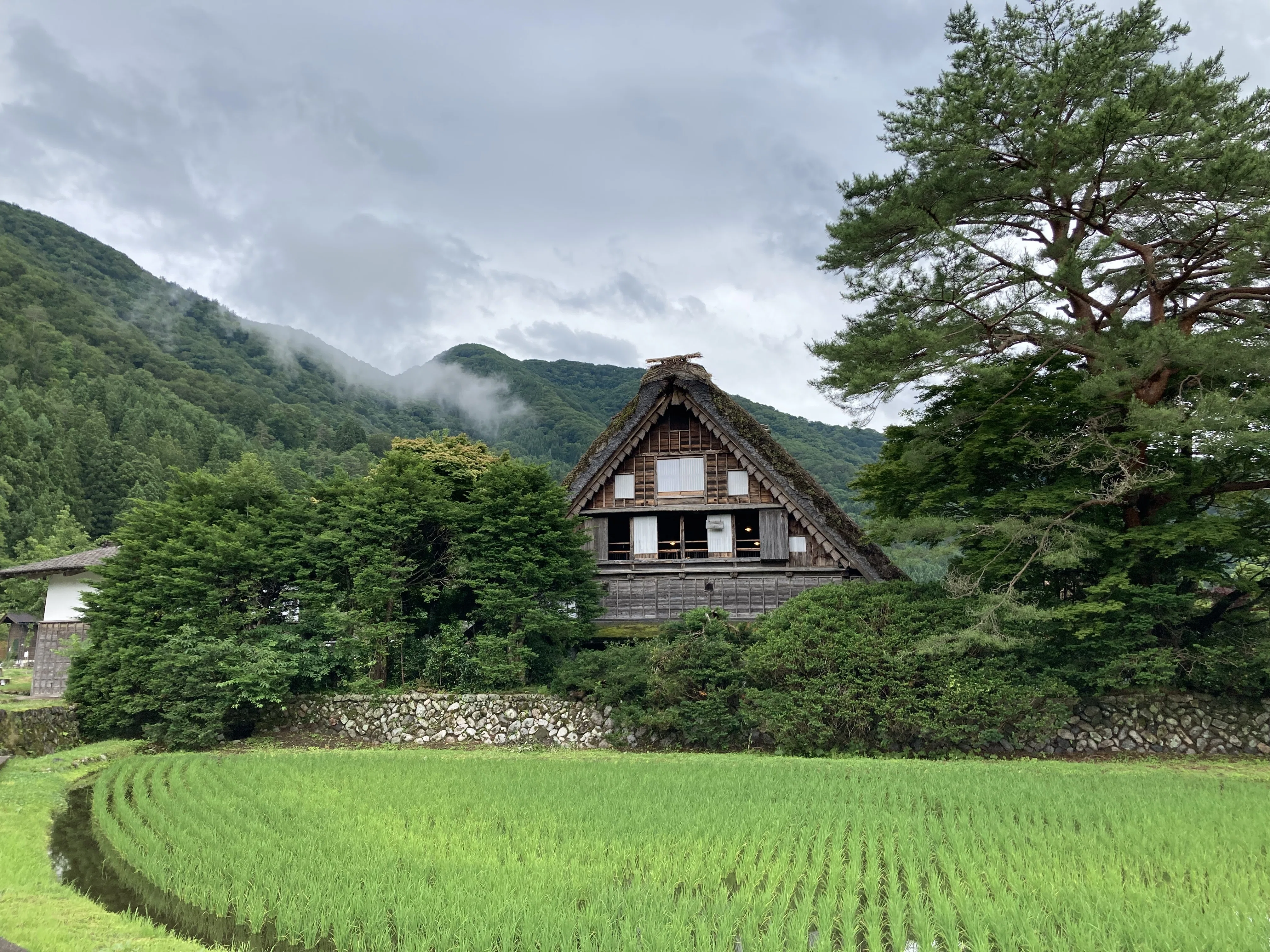 巨摩・市川三郷の１００年/樹林舎/齋藤康彦（大型本） 都会の喧騒を離れ、自然を満喫できた旅｜tora