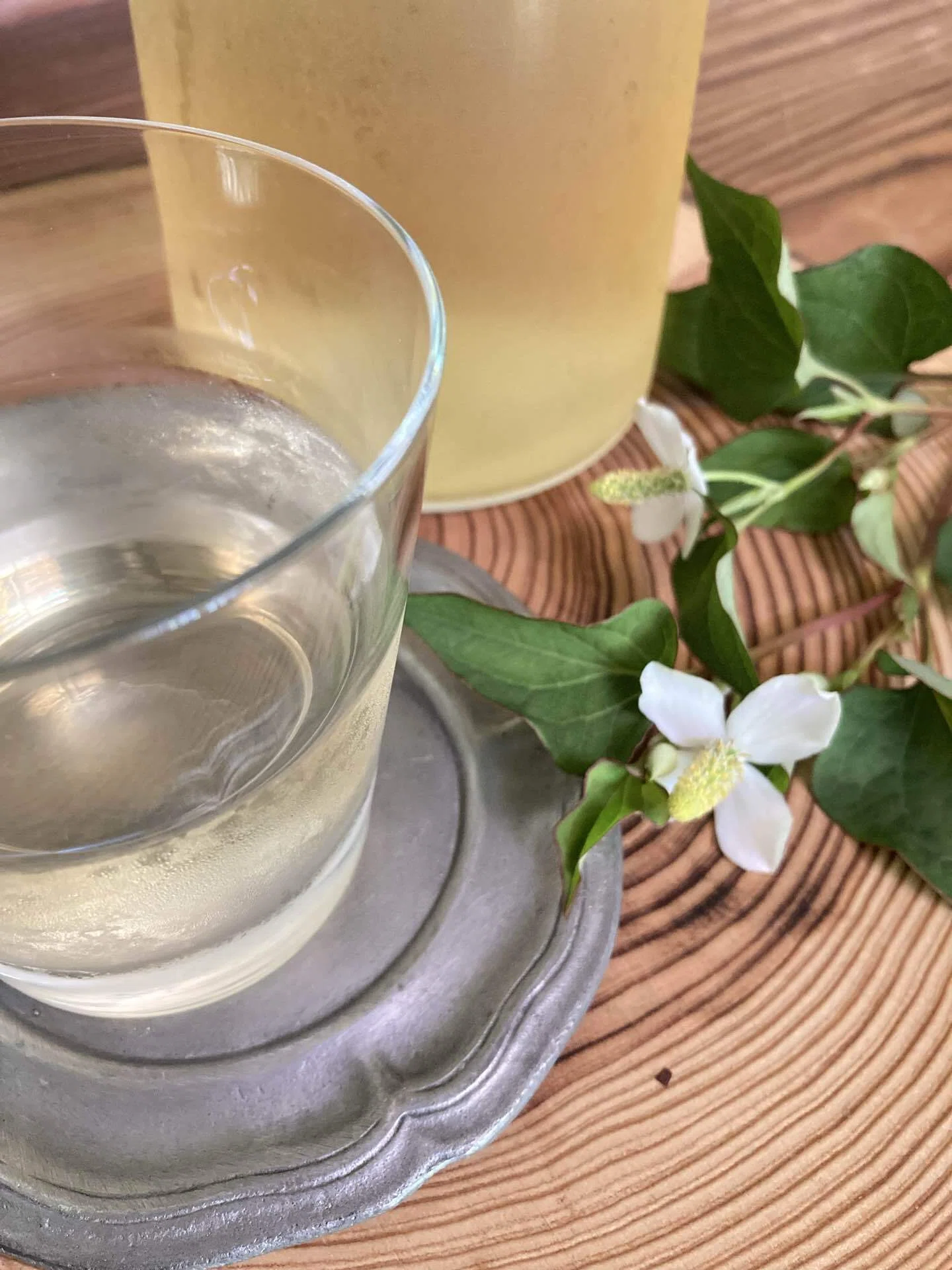 ドクダミ】どくだみの採取時期・効能・お茶作り｜みちくさファーム