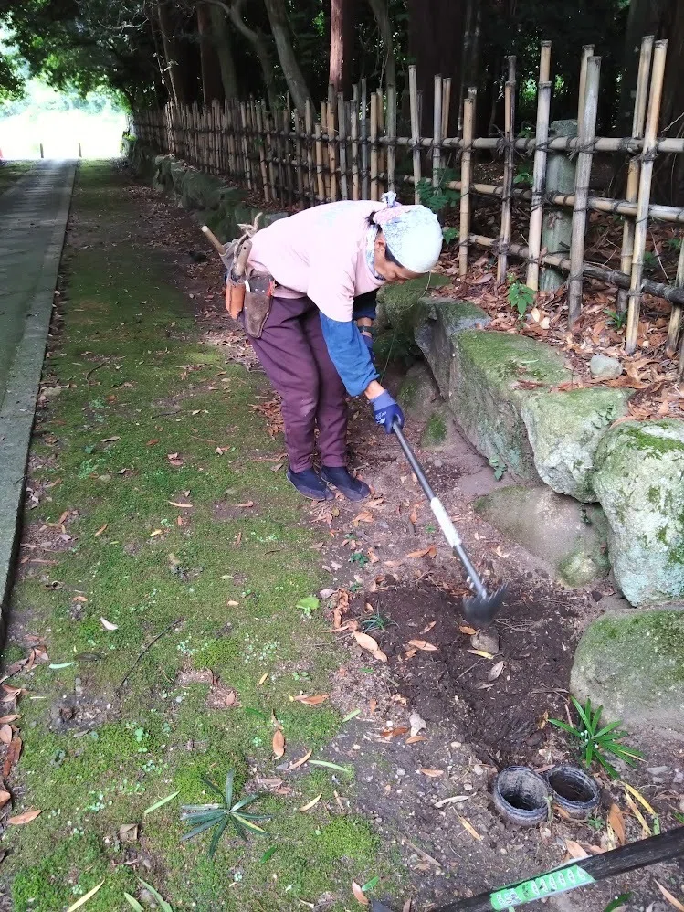 Scenery of Yui. Participating in Earth Regeneration｜流域探検隊