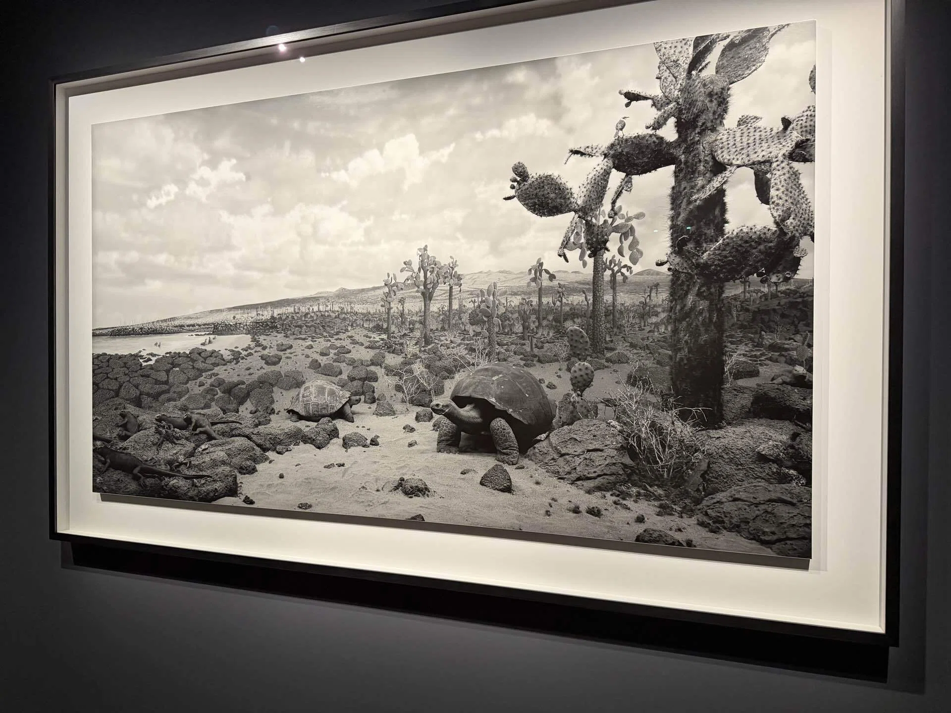 美術展感想『杉本博司 絶滅写真 - 東京国立近代美術館』──半生をかけ
