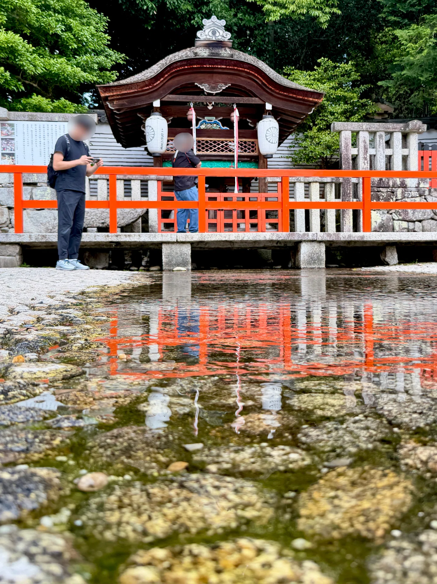 京都】みたらし団子、水面に浮かぶ由来を追う 7月18日～30日は