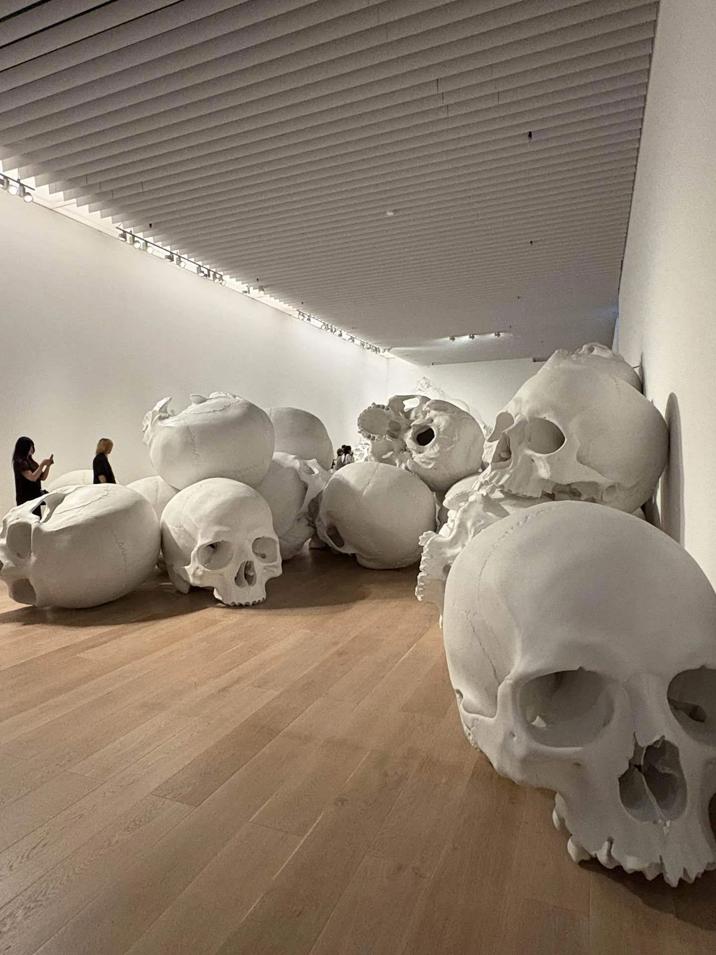 高品質！ エミュ　頭骨 ロン・ミュエク展で、私がみていたもの｜岩田紫苑｜伝えたい想いを