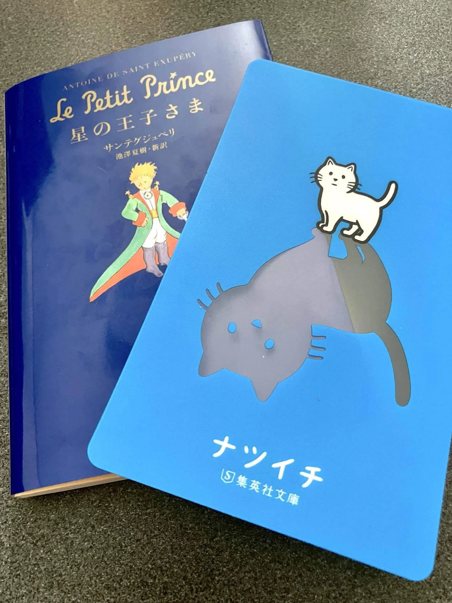 106:肝心なことは目では見えない｜小隅さみ
