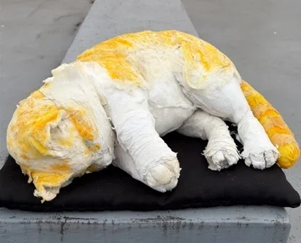 芸術の都から京の都へ～ 眠れる獅子展に眠りねこ ただいま補修中