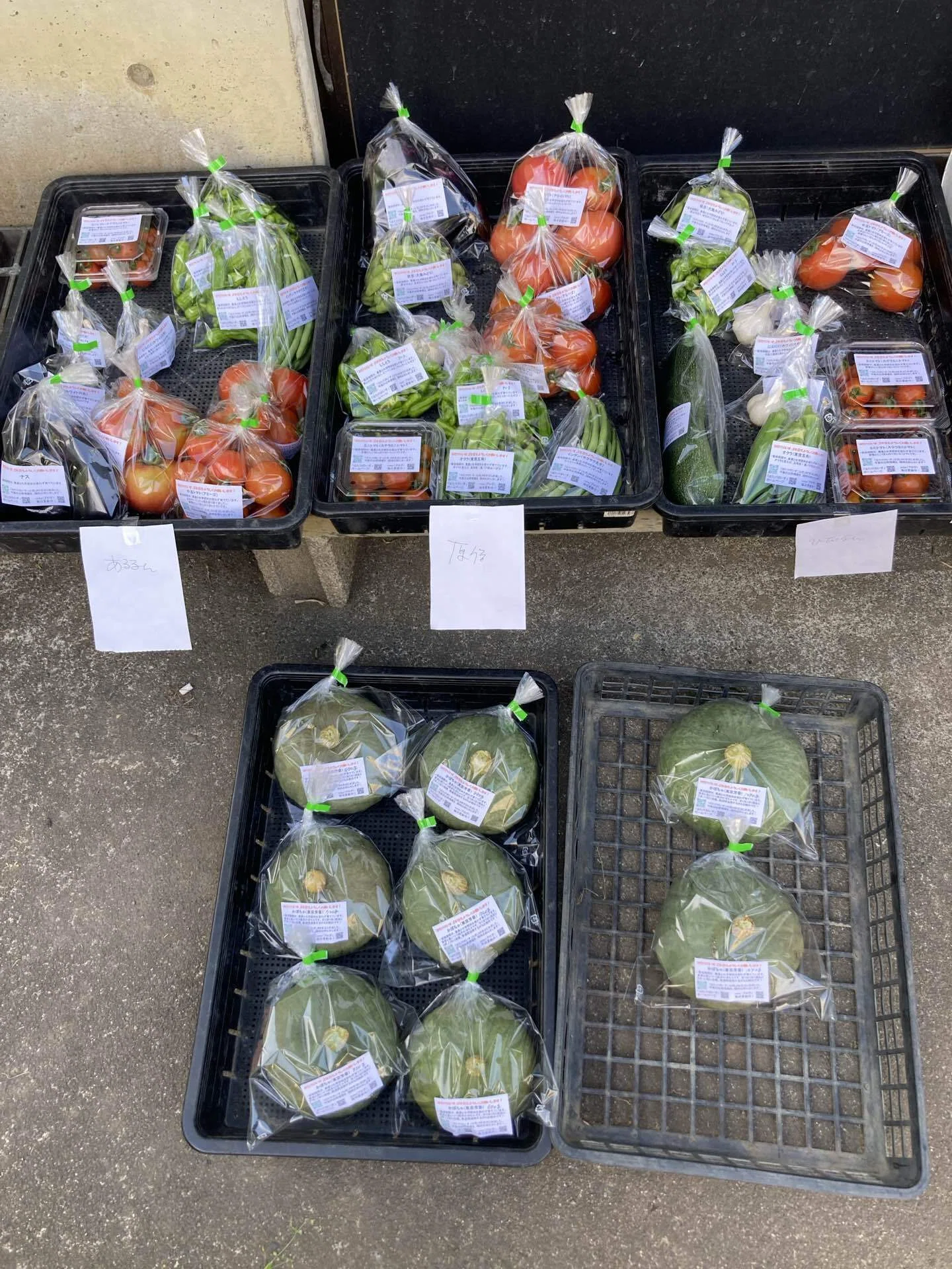 菜葉様 リクエスト 2点 まとめ商品 夏野菜が本気出してきた！〜はたけの様子20260713その64」｜はたけのいす