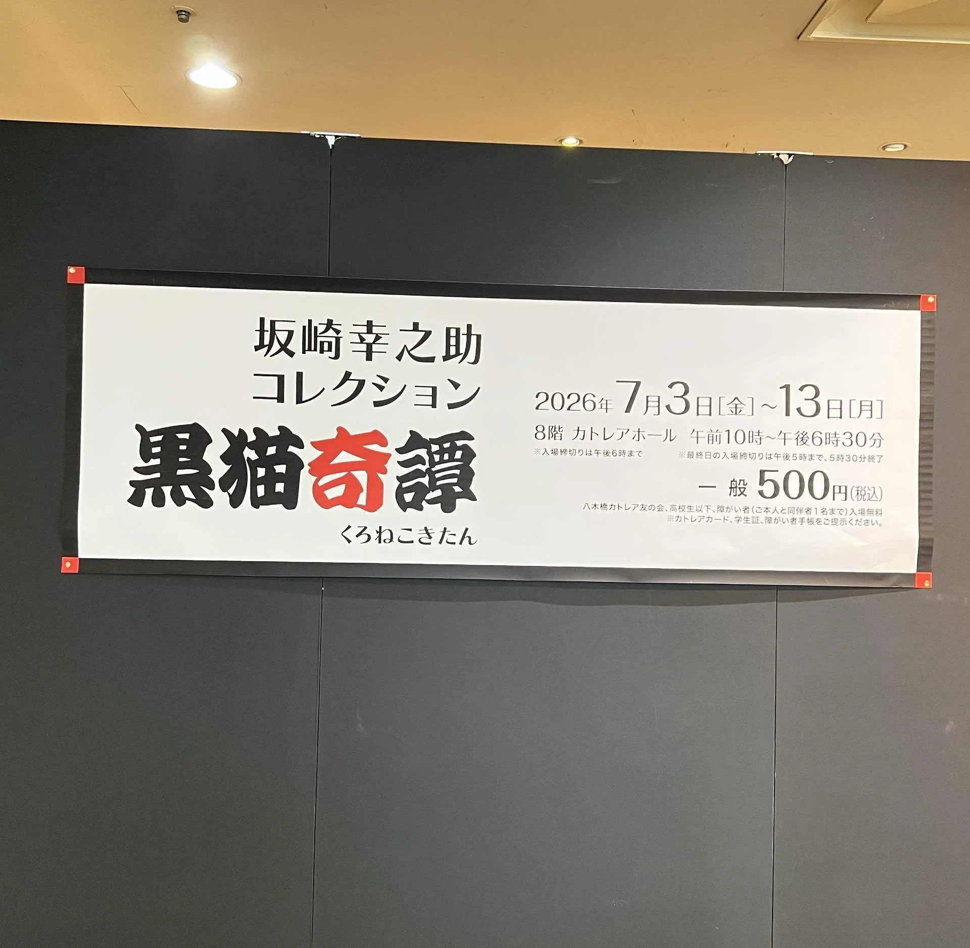 THE ALFEE 坂崎幸之助さんコレクション【黒猫奇譚】鑑賞してきました