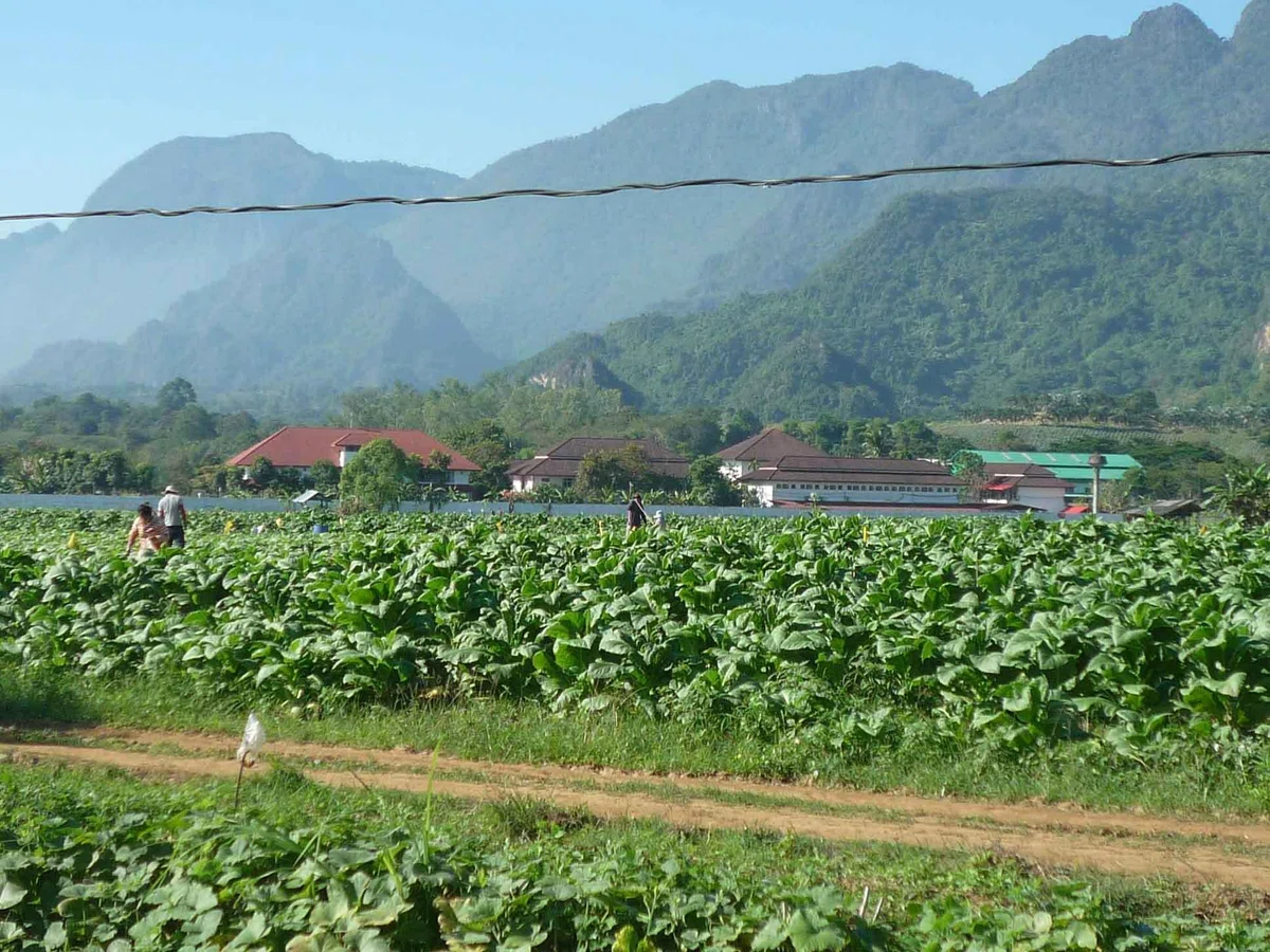 緑の畑で人が作業し、家々の奥に山並みが広がっている