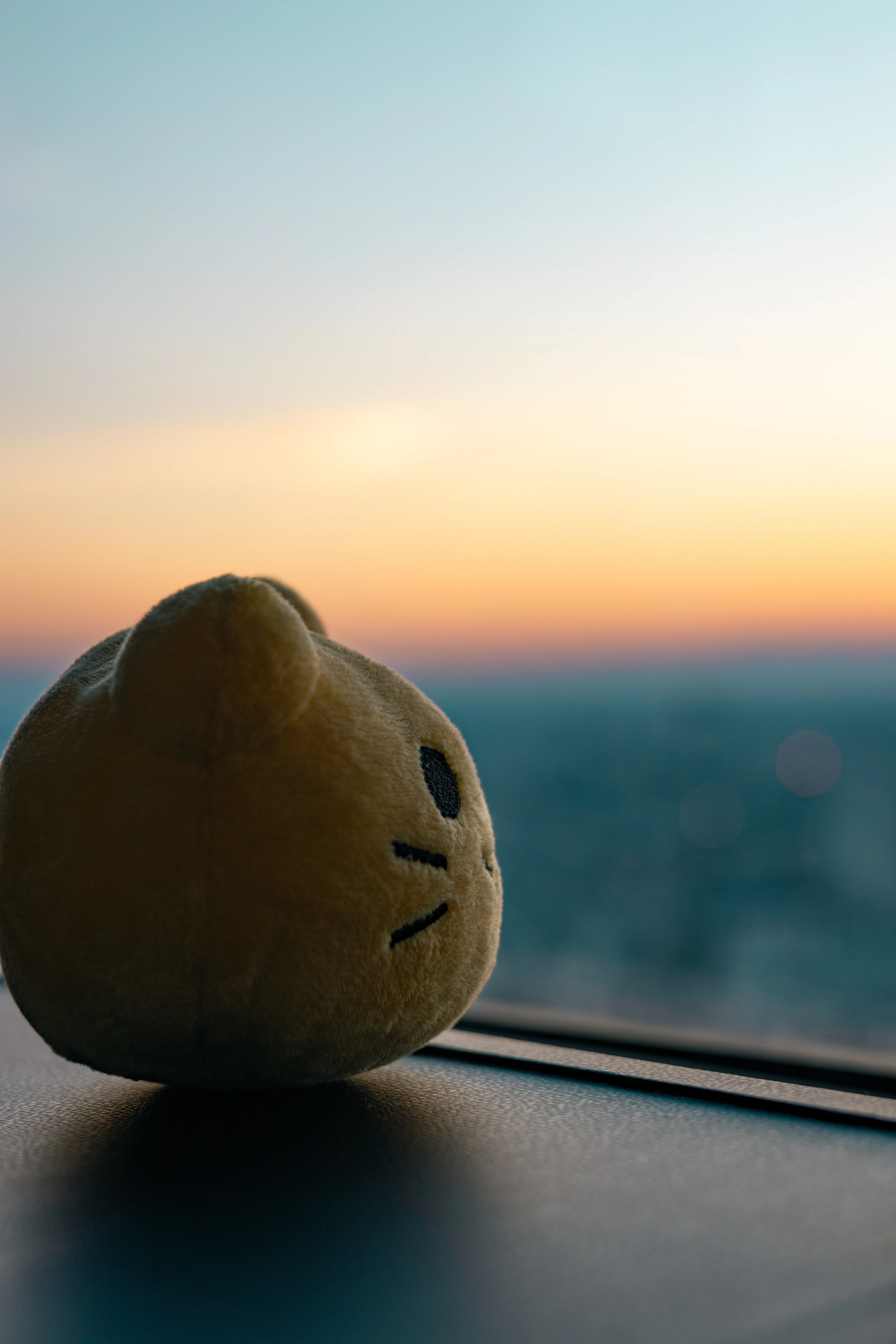 人物を撮る私がぬい撮りしたら、予想以上にウケた話｜たかはしあさぎ
