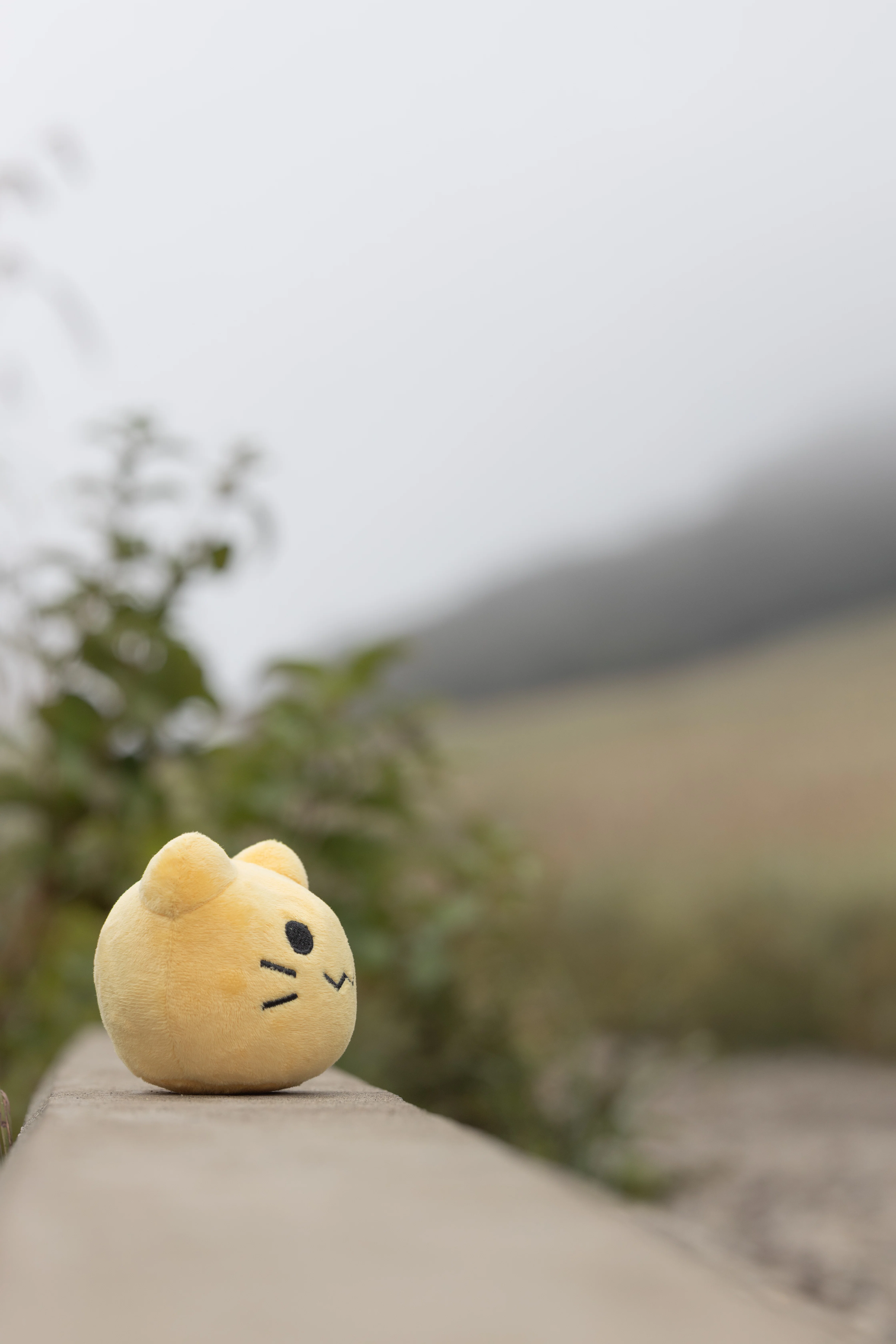 ぬい撮り、ぬいぐるみ旅行!　貴方の大切な可愛い相棒に♬ 人物を撮る私がぬい撮りしたら、予想以上にウケた話｜たかはしあさぎ