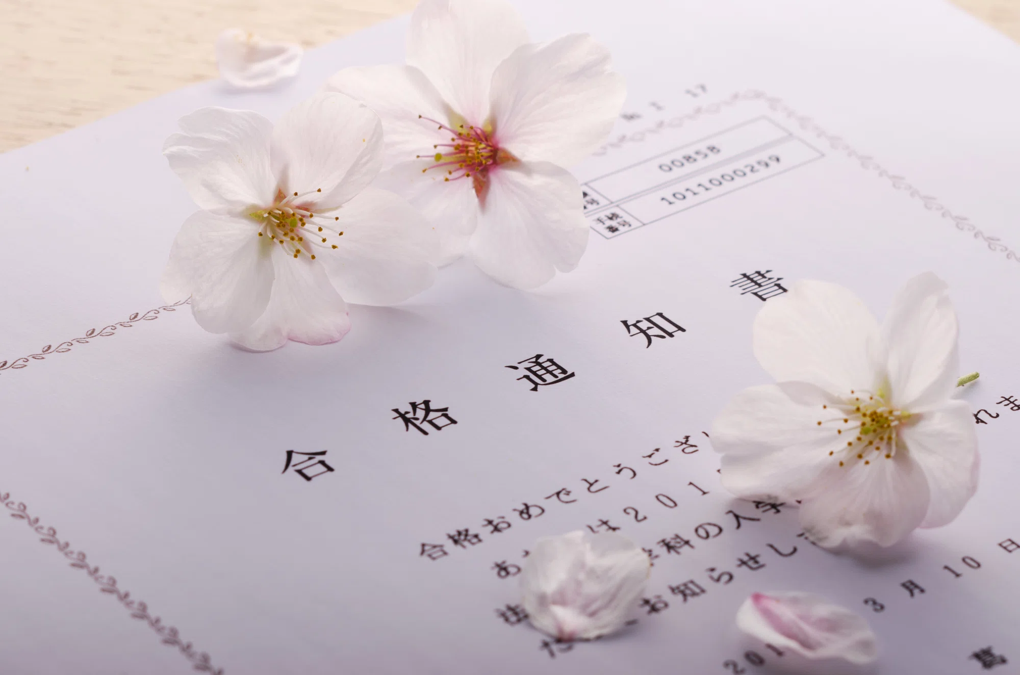 日本女子大学附属豊明幼稚園】願書、面接資料の書き方（追補版）｜絶対