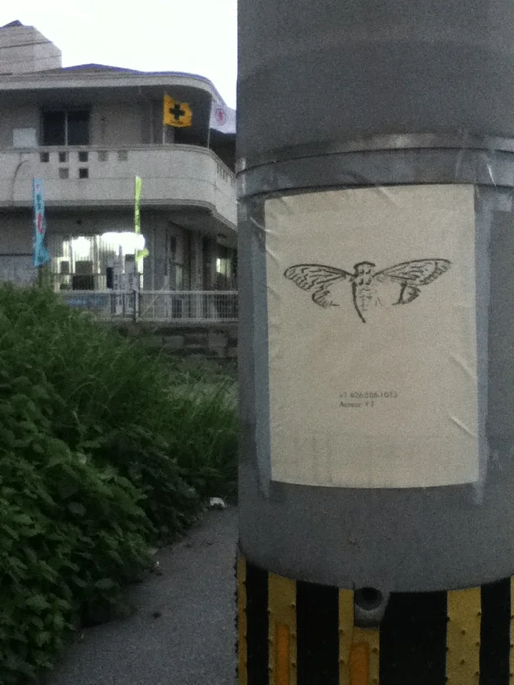 インターネット史上最も精巧な謎、Cicada 3301を知っていますか