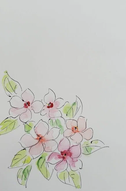 7月13日】お花🌸ニチニチソウ（日々草）｜こうこ