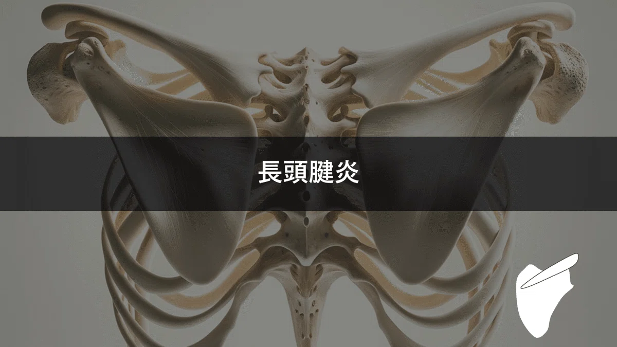 セミナー動画特典付き買い切り記事】肩関節疾患の関わる整形外科テスト