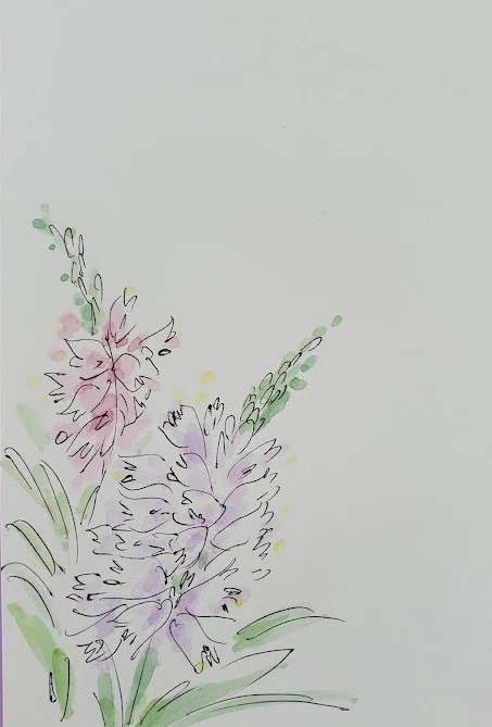 7月14日】お花🌸ハナトラノオ（花虎の尾）｜こうこ
