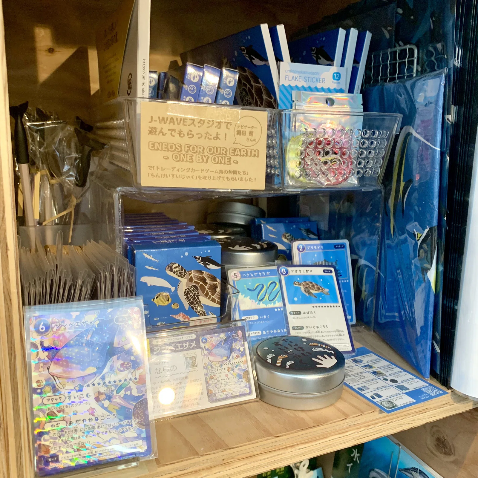 多様なサカナ・水生生物グッズが並ぶ『SAKANA APARTMENT』に入居する