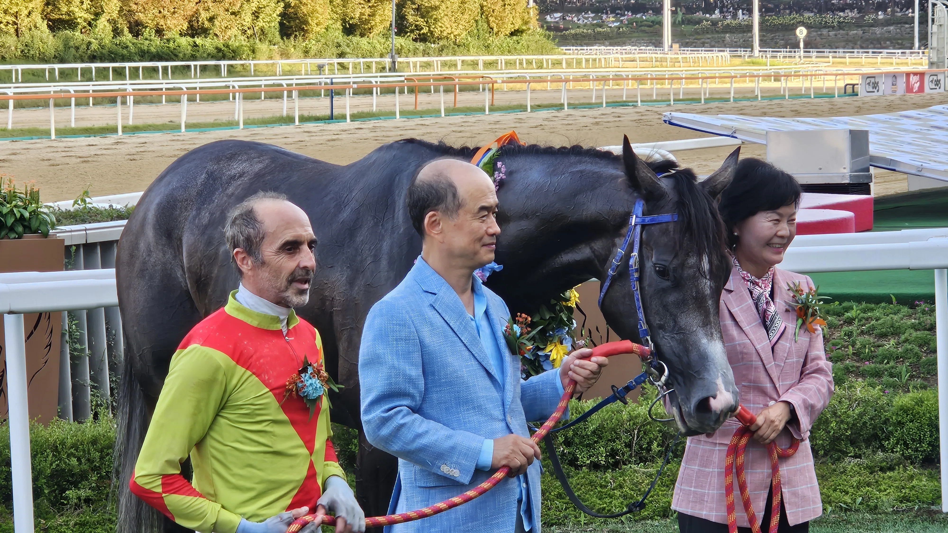 ワタシの紙馬券コレクション①｜南洋朧月