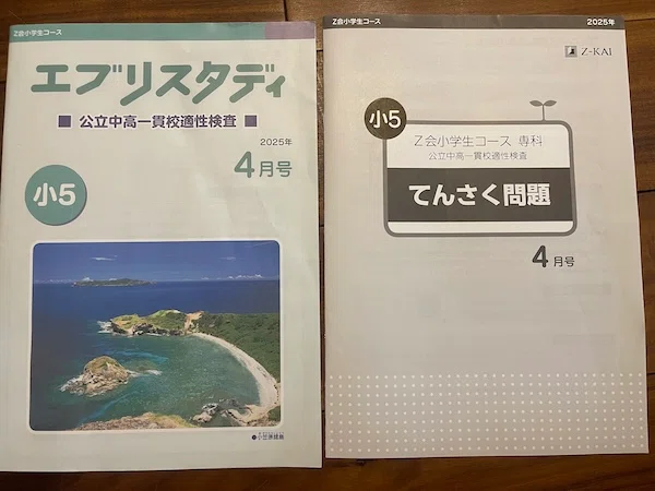 【特価】エブリスタディ公立中高一貫校適性検査　作文　3月から9月 公立中高一貫受検の通信講座「Z会」・「進研ゼミ」徹底比較(5・6年生