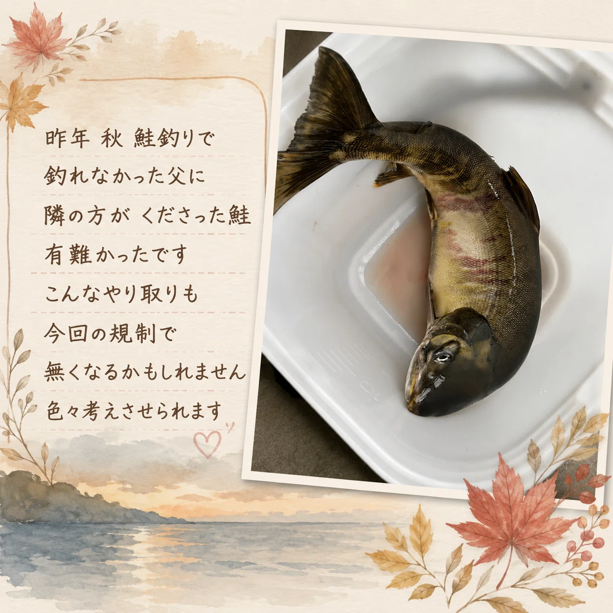 秋鮭釣りの規制について考えたこと｜うさぴ@姪っ子甥っ子命（網走の 