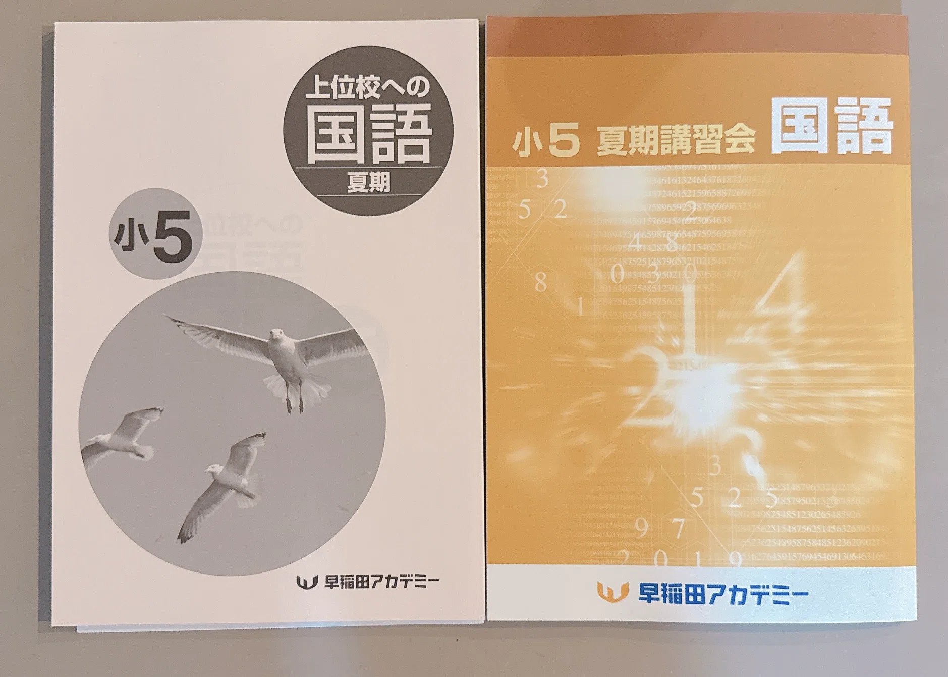 中受日記 夏期講習の算数テキスト、4冊でした…｜泣いて笑って本気受験